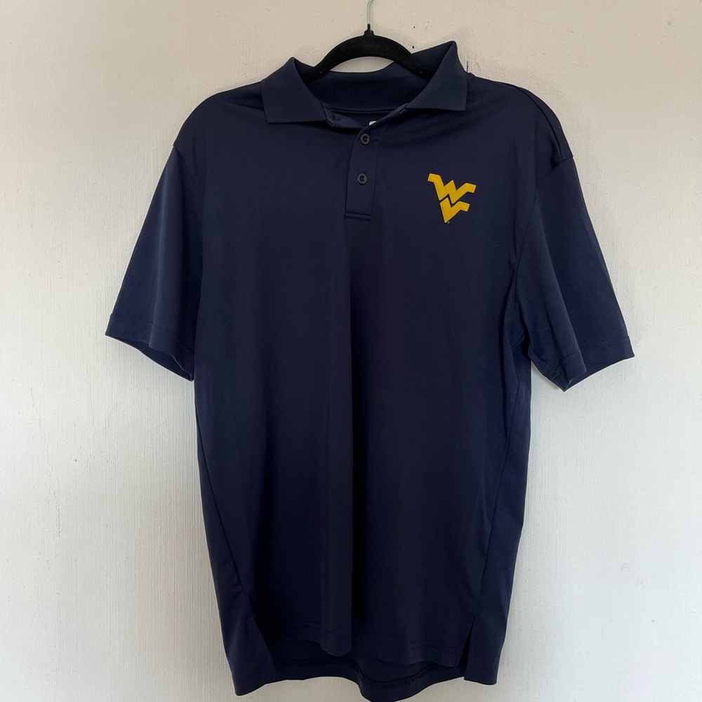 WV Polo